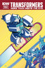 Transformers More Than Meets The Eye (2012) #40 Nick Roche "Subscription" Var Comics - Back Issues IDW