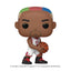 Pop Chicago Bulls 103 Dennis Rodman