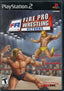 Fire Pro Wrestling Returns