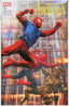Amazing Spider-Man (2025) #25 Lee Bermejo Var Comics Marvel Comics
