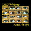 Destroy Boys - Make Room Media Epitaph Records