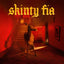 Fontaines DC - Skinty Fia Media Partisan Records