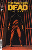 Walking Dead Deluxe #141 Comics Image Comics