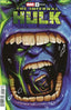 Infernal Hulk #09 1:25 Doaly Var