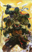 Teenage Mutant Ninja Turtles (2024) #20 Ito "Blind Bag" Var