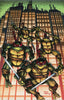 Teenage Mutant Ninja Turtles (2024) #20 Kevin Eastman & Peter Laird "Blind Bag" Var