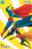 Batman Superman World's Finest #54 Miguel Mercado Var Comics DC Comics