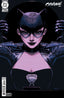 Catwoman (2018) #90 Chloe Brailsford Var Comics DC Comics