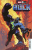 Infernal Hulk #10 Josemaria Casanovas Var Comics Marvel Comics