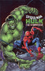 Spider-Man Hulk Fire and Brimstone #01 Marco Checchetto "Foil" Var