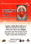 Inspirations The World of DC Base #20 Supergirl