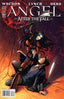 Angel After the Fall #03 Comics - Back Issues IDW