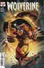 Wolverine (2024) #20 Comics - Back Issues Marvel Comics