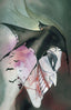 Detective Comics (2016) #1027 Peach Momoko Frankie's Comics "Virgin" Exclusive