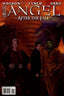 Angel After the Fall #06