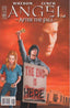 Angel After the Fall #08 Brian Miller Var