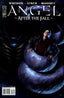 Angel After the Fall #14