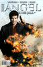 Angel After the Fall #16