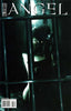 Angel (2009) #20 Nick Runge Var