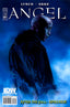 Angel (2009) #23 Nick Runge Var Comics - Back Issues IDW