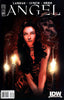 Angel (2009) #24 Nick Runge Var Comics - Back Issues IDW
