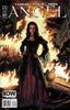 Angel (2009) #25 Nick Runge Var Comics - Back Issues IDW