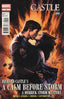 Castle a Calm Before Storm #05 Comics - Back Issues Marvel Comics