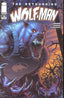 Astounding Wolf-Man #16 1:25 Dale Keown Comics - Back Issues Image Comics