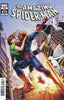 Amazing Spider-Man (2018) #74 Marcelo Ferreira Var