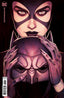 Catwoman (2018) #39 Frison Var Comics - Back Issues DC Comics