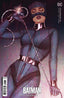 Catwoman (2018) #41 Frison Var Comics - Back Issues DC Comics
