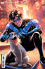 Nightwing (2016) #091 1:25 Serg Acuna Var