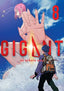 Gigant GN 08