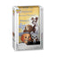 Pop Poster 15 Lady & The Tramp