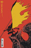 Tim Drake Robin #05 1:25 Juni Ba Var