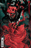 Detective Comics (2016) #1069 J.H. Williams III Var Comics - Back Issues DC Comics