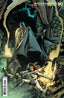 Detective Comics (2016) #1070 Ivan Reis Var Comics - Back Issues DC Comics