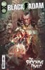 Black Adam (2022) #12 Comics - Back Issues DC Comics