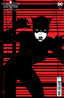 Knight Terrors Catwoman #01 Nguyen Var
