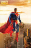 Batman Superman World's Finest #21 "Action Figure" Var