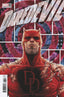 Daredevil (2023) #03 Cassara Var