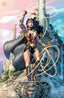 Wonder Woman (2023) #01 2nd Ptg Jim Lee "Foil" Var