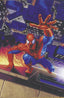 Amazing Spider-Man (2022) #42 1:50 Hildebrandt Var
