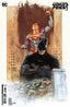 Batman Superman World's Finest #25 Joelle Jones Var