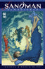 Sandman (1989) #19 Charles Vess "From the Vault Remastered" Var Comics - Back Issues DC Comics