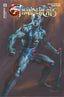 ThunderCats (2024) #03 Parrillo "Foil" Var