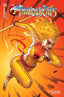ThunderCats (2024) #03 1:10 Nakayama "Foil" Var