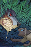 Feral #03 1:10 Fleecs & Forstner Var