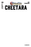 ThunderCats Cheetara #01 "Blank White" Var
