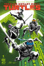 Teenage Mutant Ninja Turtles (2024) #01 Comics - Back Issues IDW